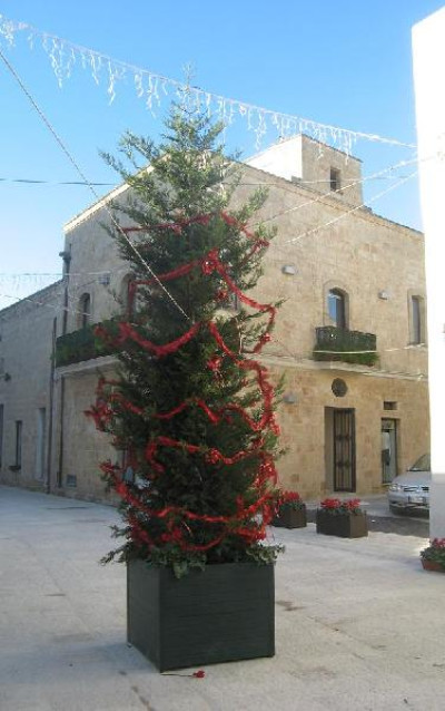 Tricase - Uno scorcio di via Domenico Caputo Tricase - Uno scorcio di via Domenico Caputo